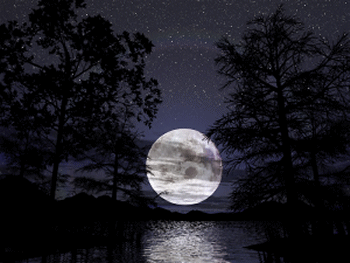 lune.gif (77561 octets)